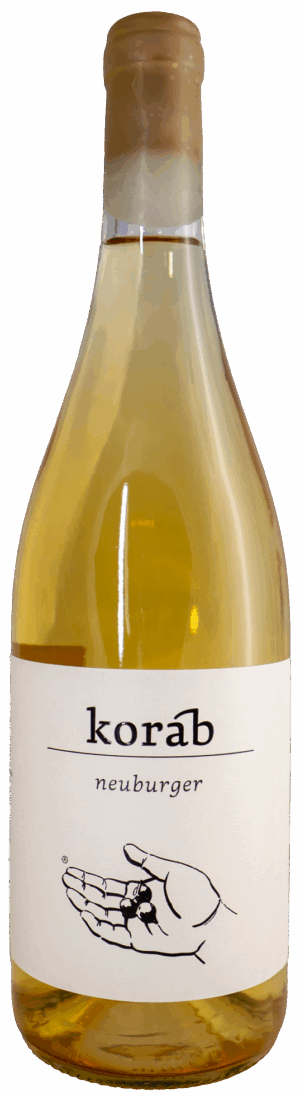 Neuburger 2023, Petr Koráb - Živá hora