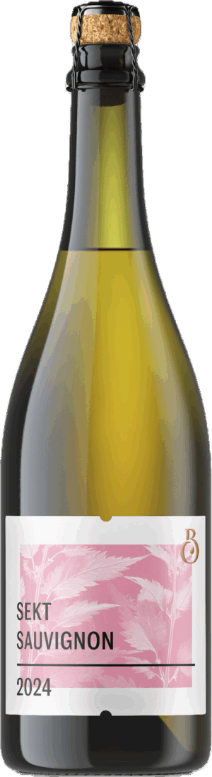Sekt Sauvignon, Bystřický